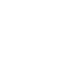 Logo 60