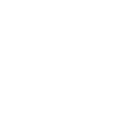 Logo 31