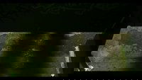 Backdrop 0