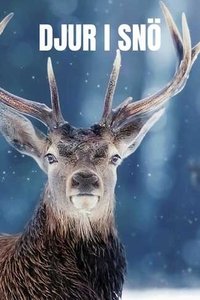 Poster for Snow Animals