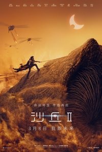 Poster 303