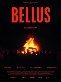 Bellus