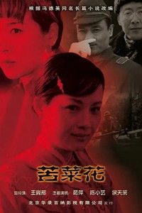 Poster for Ku Cai Hua