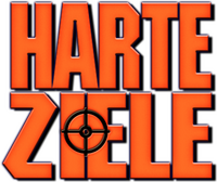 Logo 13