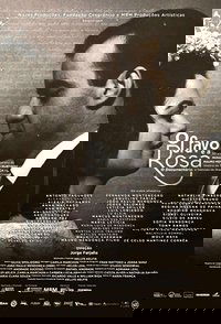 The Clove and The Rose