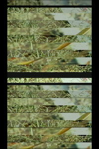 Poster for DIGITAL MATERIAL