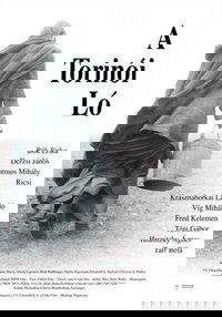 Poster 13