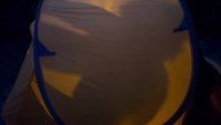 Backdrop 6