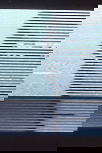 Poster for Stasis Series I & II I. Still Life; II. Papa's Garden