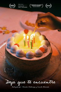 Poster for Deja Que Te Encuentre