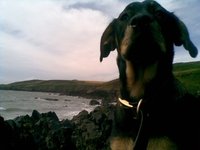 tomk1's profile image