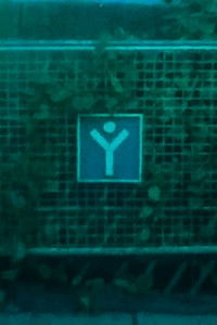 Poster for I Feel Like a Stranger But I Know I Left Pieces of Myself Here