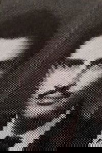 Profile of Gamal El Tabeai