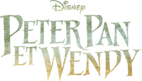 Logo 13