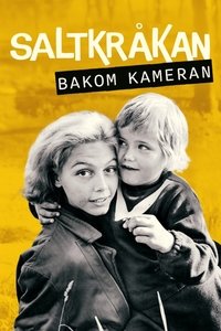Poster for Saltkråkan - bakom kameran