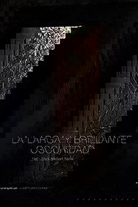 Poster for The Long Bright Dark