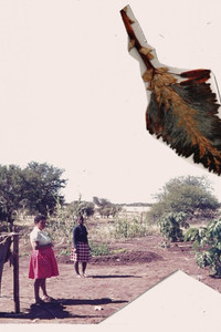 Poster for Summer Flowers