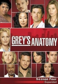 Greys Anatomy Season 4 poster