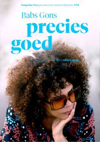 Babs Gons - Precies Goed