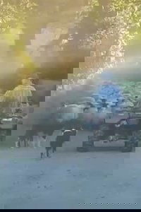 Farm Film