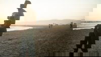 Backdrop 10