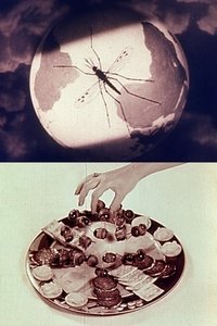 Poster for Lotus Wing