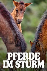 Poster for Pferde im Sturm - Das wilde Herz Sardiniens