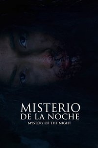Mystery of the Night