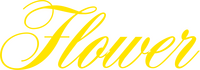 Logo 4