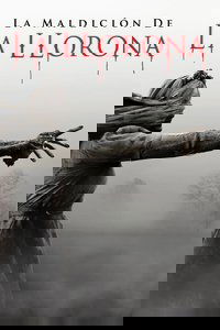 Poster 28