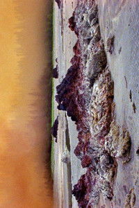 Poster for Super, Natural