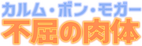Logo 13