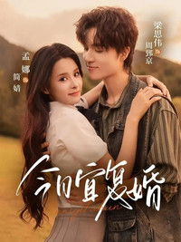 Poster for 今日宜复婚