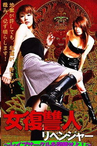 Poster for Female Avenger: Shut Down the Rape Circle