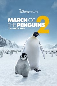 Poster 25