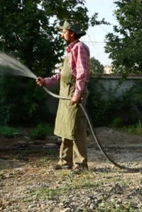 Venezia 70 - Future Reloaded, Abbas Kiarostami