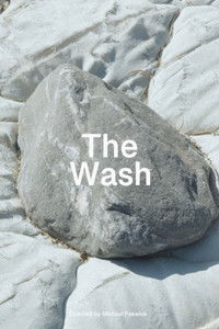 Poster for The Wash