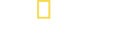 Logo 9