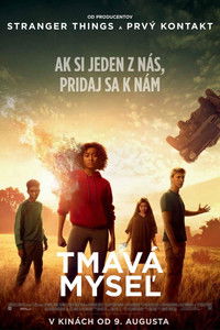 Poster 13