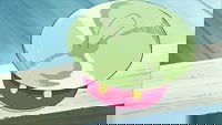 ¡Primera captura en Alola, al estilo Ketchum!