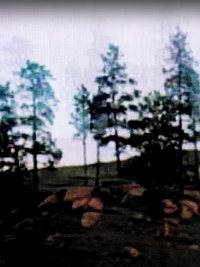 Poster for DREAMING