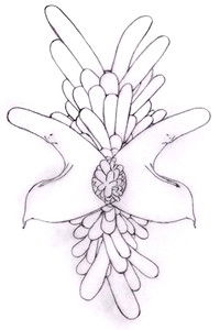 Poster for Affordance