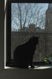 Poster for A Version of the West