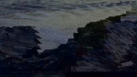 Backdrop 0