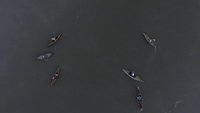 Backdrop 0