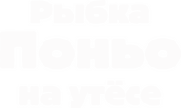 Logo 14
