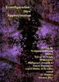 Poster for Transfiguration: Slow Approximation