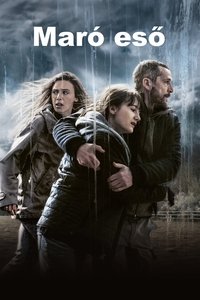 Poster 26
