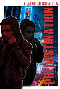 Poster for Predestination