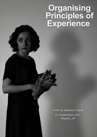 Organising Principles of Experience